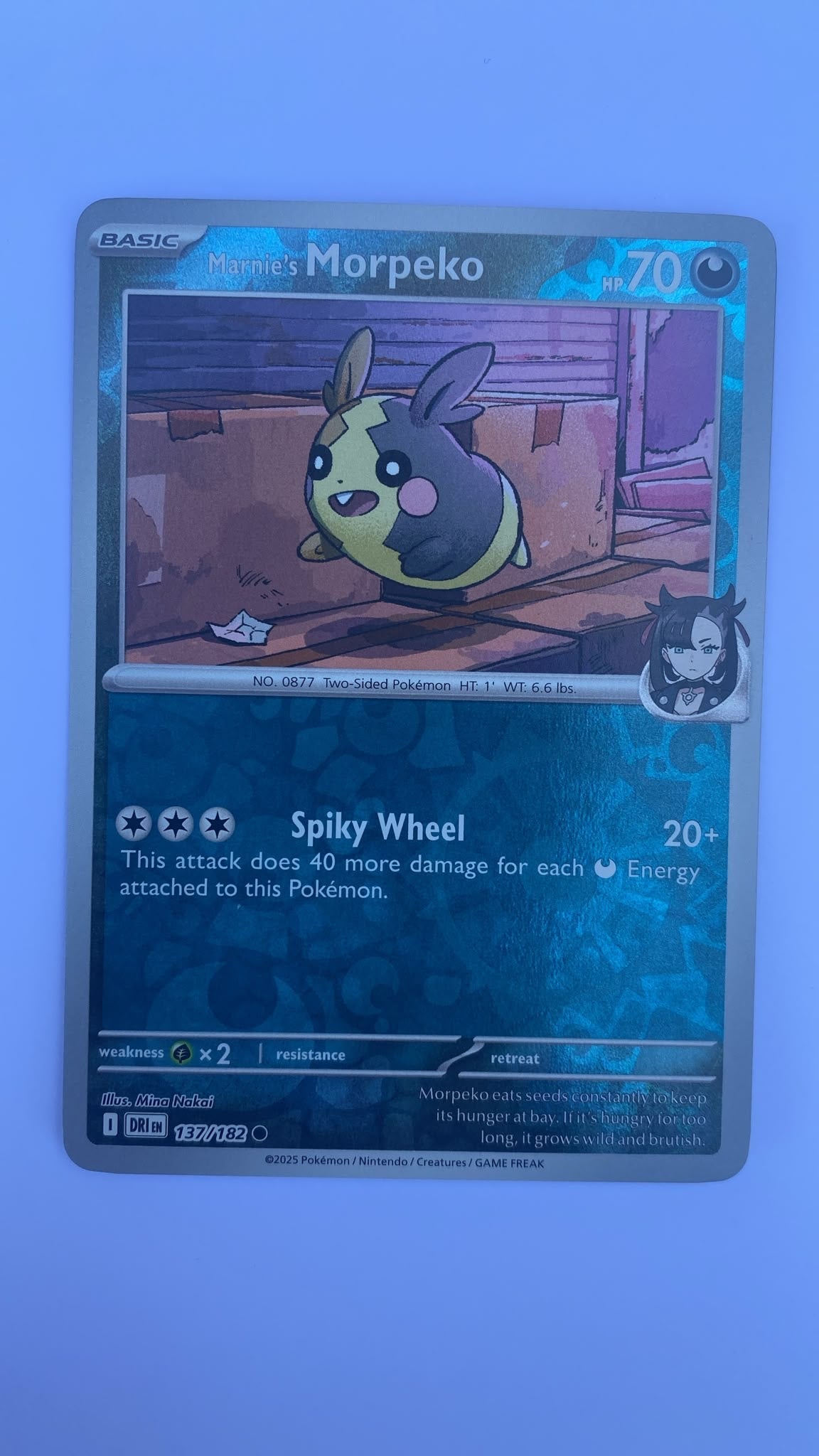 Marnie's Morpeko - Destined Rivals #137/182 Reverse Holo